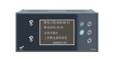 WP-CDA系列超大屏幕单回路数字显示控制仪